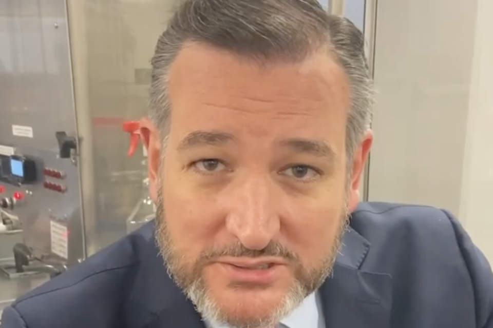 ted cruz