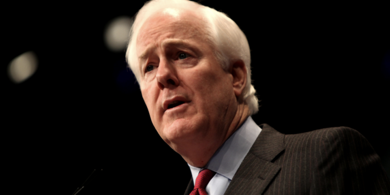 Cornyn under fire for comparison with ruling on racial segregation