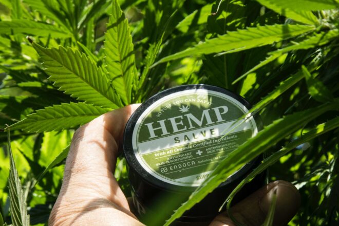 Judge denies hemp companies’ lawsuit seeking to block DSHS’ rule classifying popular cannabis extract Delta-8 as illegal