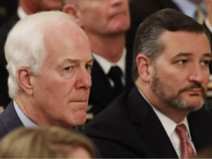 Senators John Cornyn and Ted Cruz (R-TX)