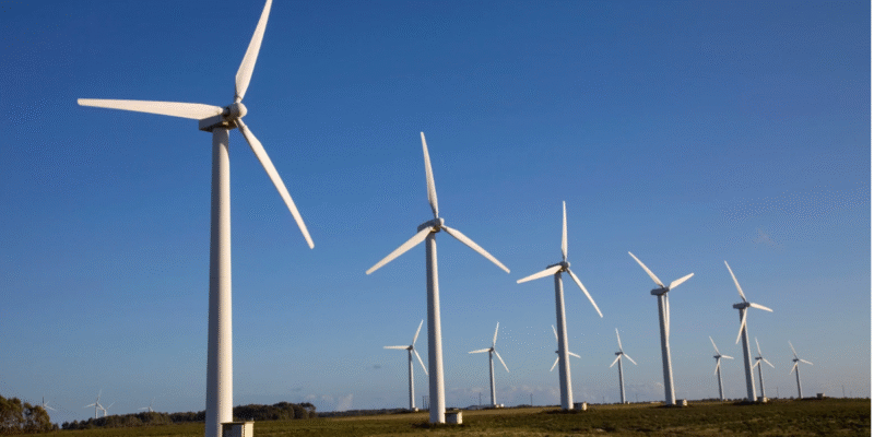 54 Wind Projects in Texas Awaiting Permit Approval as Department of Defense Addresses National Security Concerns