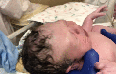 The Silent Chemical Crisis Destroying the American Family, Birth rates