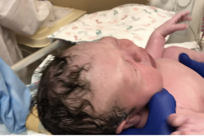 The Silent Chemical Crisis Destroying the American Family, Birth rates