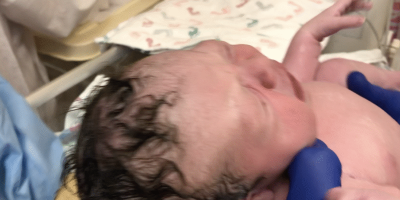 The Silent Chemical Crisis Destroying the American Family, Birth rates