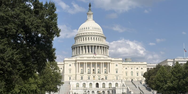 The ‘Clown Show’ Congressional Stock Ban That Couldn’t Avoid a Voter-ID Fight