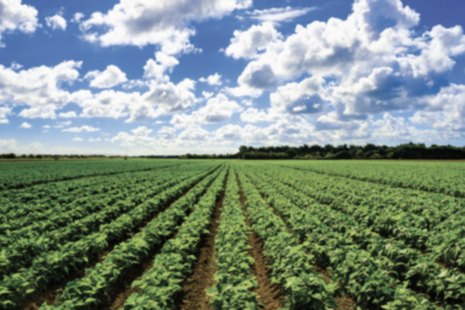 Fair Seeds for Farmers Act Takes Aim at Corporate Control Over America's Food Supply